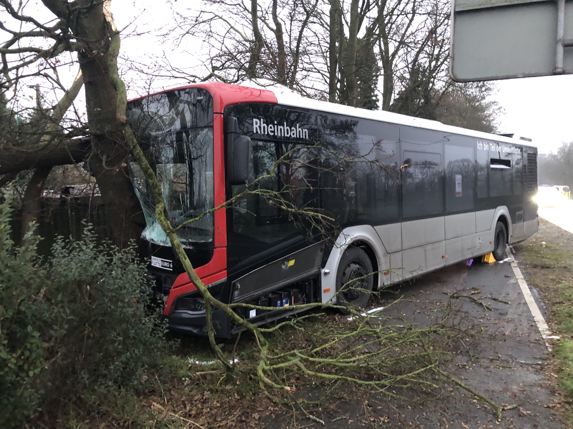 Der Bus prallte frontal gegen einen Baum.